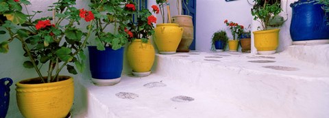 Framed Potted plants on steps, Mykonos, Cyclades Islands, Greece Print