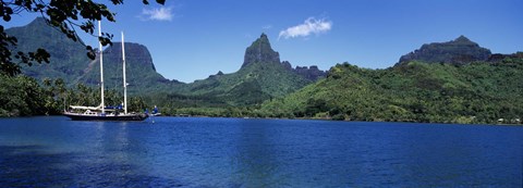 Framed Sailboats Sailing In The Ocean, Opunohu Bay, Moorea, French Polynesia Print