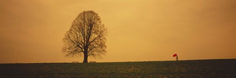 Framed Man standing with an umbrella near a tree, Baden-Wuerttemberg, Germany Print
