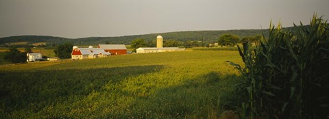 Framed Crop in a field, Frederick County, Virginia, USA Print