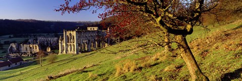 Framed Church On A Landscape, Rievaulx Abbey, North Yorkshire, England, United Kingdom Print