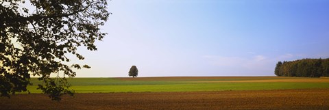 Framed Plowed  field, Germany Print