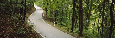 Framed Empty road running through a forest, Stuttgart, Baden-Wurttemberg, Germany Print