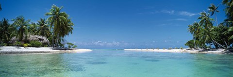 Framed Palm trees on the beach, Tikehau, French Polynesia Print