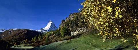 Framed Low angle view of a snowcapped mountain, Matterhorn, Valais, Switzerland Print