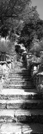 Framed Low angle view of steps in a garden, Neptune&#39;s Steps, Tresco Abbey Garden, Tresco, Isles Of Scilly, England Print