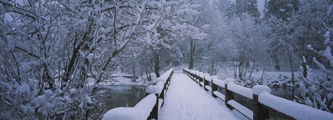 Framed Trees along a snow covered footbridge, Yosemite National Park, California, USA Print
