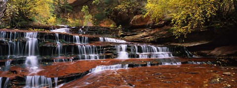 Framed Waterfall in a forest, North Creek, Zion National Park, Utah, USA Print