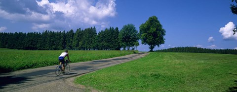 Framed Rear view of a person riding a bicycle on the road, Black Forest, Germany Print