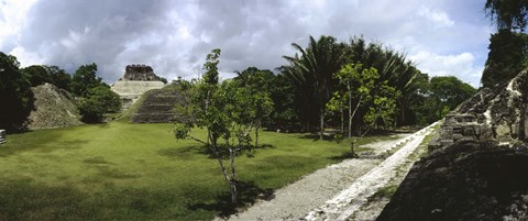 Framed Old ruins of a temple in a forest, Xunantunich, Belize Print