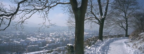 Framed Trees along a snow covered road, Freiburg Im Breisgau, Breisgau, Baden-Wurttemberg, Germany Print