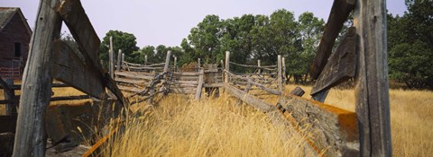 Framed Ranch cattle chute in a field, North Dakota, USA Print
