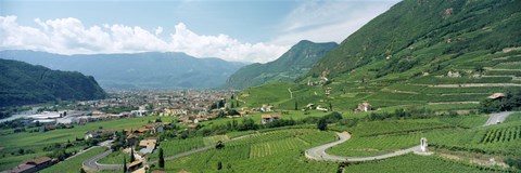 Framed Curved road passing through a landscape, Bolzano, Alto Adige, Italy Print
