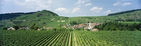 Framed Vineyards near a village, Oberbergen, Der Vogelsangpass, Bereich Kaiserstuhl, Baden-Wurttemberg, Germany Print