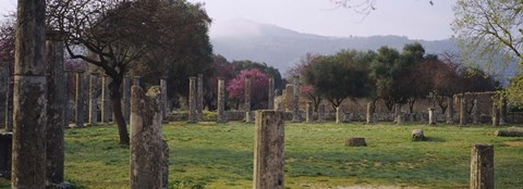 Framed Ancient Olympia, Olympic Site, Greece Print