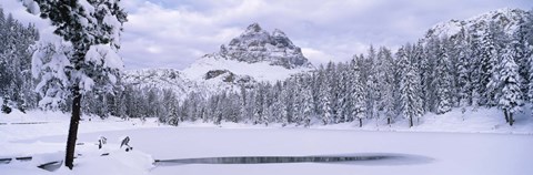 Framed Trees along a frozen lake, Lake Antorno, Tre Cime Di Lavaredo, Dolomites, Cadore, Province of Belluno, Veneto, Italy Print