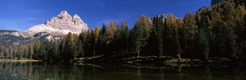 Framed Trees at the lakeside, Lake Misurina, Tre Cime Di Lavaredo, Dolomites, Cadore, Province of Belluno, Veneto, Italy Print