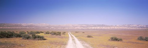 Framed Dirt road passing through a landscape, Carrizo Plain, San Luis Obispo County, California, USA Print
