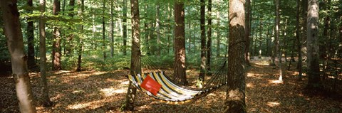 Framed Hammock in a forest, Baden-Wurttemberg, Germany Print