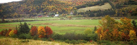 Framed Cape Breton Highlands near North East Margaree, Nova Scotia, Canada Print
