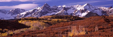 Framed Mountains covered with snow and fall colors, near Telluride, Colorado Print