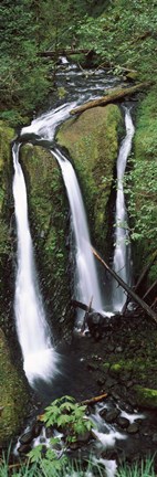 Framed High angle view of a waterfall in a forest, Triple Falls, Columbia River Gorge, Oregon (vertical) Print