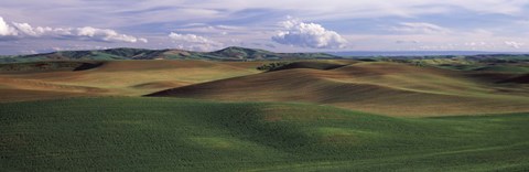 Framed Clouds over a rolling landscape, Palouse, Whitman County, Washington State, USA Print
