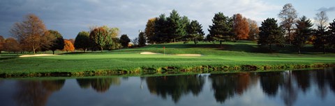 Framed Pond in a golf course, Westwood Golf Course, Vienna, Fairfax County, Virginia, USA Print
