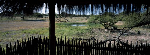 Framed View from a hut, waterhole, Onguma Bush Camp, Etosha National Park, Kunene Region, Namibia Print