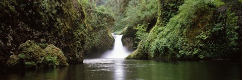 Framed Waterfall in a forest, Punch Bowl Falls, Eagle Creek, Hood River County, Oregon, USA Print