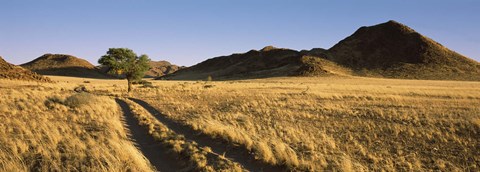 Framed Trails passing through a desert, Namibia Print