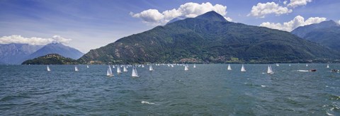 Framed Sailboats in the lake, Lake Como, Como, Lombardy, Italy Print