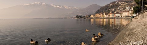 Framed Town at the lakeside, Nobiallo, Lake Como, Como, Lombardy, Italy Print