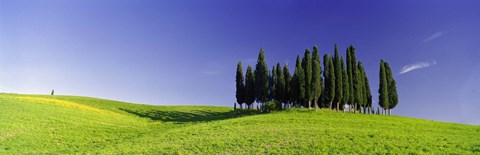 Framed Trees on a landscape, Val D&#39;Orcia, Siena Province, Tuscany, Italy Print