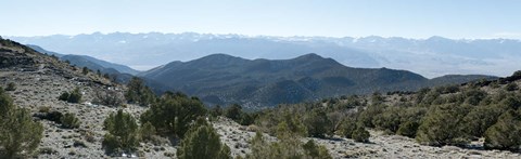 Framed Mountain range, White Mountains, Eastern Sierra, Bishop, Inyo County, California, USA Print