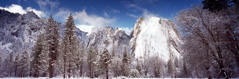 Framed Snowy trees with rocks in winter, Cathedral Rocks, Yosemite National Park, California, USA Print