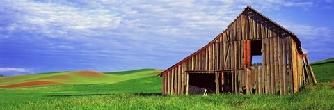 Framed Dilapidated barn in a farm, Palouse, Whitman County, Washington State, USA Print