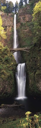 Framed Waterfall in a forest, Multnomah Falls, Columbia River Gorge, Multnomah County, Oregon, USA Print