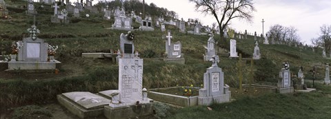 Framed Tombstone in a cemetery, Saxon Church, Biertan, Transylvania, Mures County, Romania Print