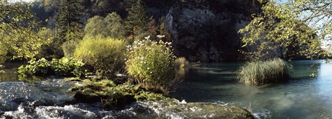 Framed Trees and plants at the lakeside, Plitvice Lake, Plitvice Lakes National Park, Croatia Print