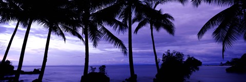Framed Palm trees on the coast, Colombia (purple horizontal) Print