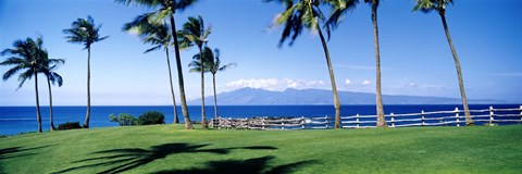 Framed Palm trees at the coast, Ritz Carlton Hotel, Kapalua, Molokai, Maui, Hawaii, USA Print