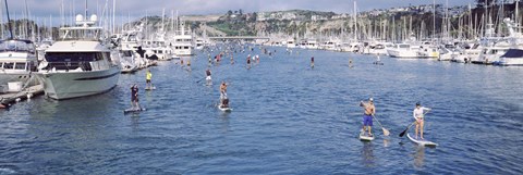 Framed Paddleboarders and yachts, Dana Point, California Print