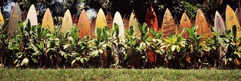 Framed Surfboard fence in a garden, Maui, Hawaii, USA Print