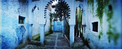 Framed Painted wall of medina, Chefchaouen, Morocco Print