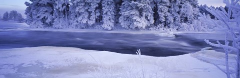 Framed River flowing through a snow covered forest, Dal River, Sweden Print