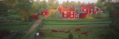 Framed Traditional red farm houses and barns at village, Stensjoby, Smaland, Sweden Print