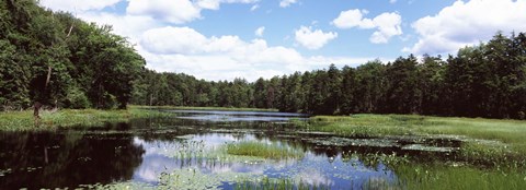 Framed Reflection of clouds in a pond, Adirondack Mountains, New York State, USA Print