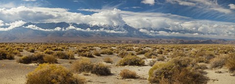 Framed Death Valley landscape, Panamint Range, Death Valley National Park, Inyo County, California, USA Print