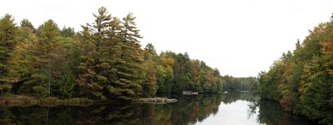 Framed Reflection of trees in the Musquash River, Muskoka, Ontario, Canada Print